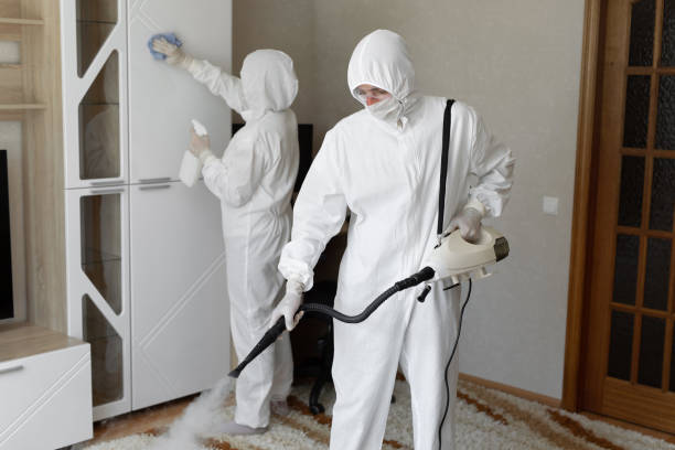 Best Attic Mold Removal  in Doylestown, OH