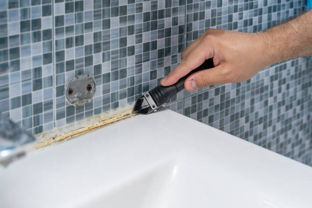 Best Mold Damage Repair  in Doylestown, OH